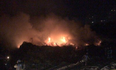 Bakırköy’de ağaçlık alanda korkutan yangın