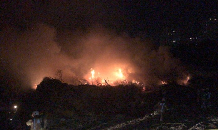 Bakırköy’de ağaçlık alanda korkutan yangın