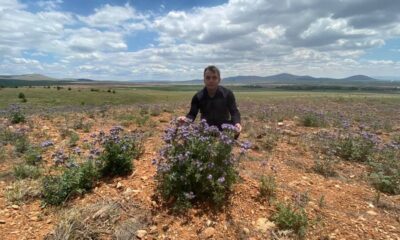 Bal ormanı arıcıları bekleniyor