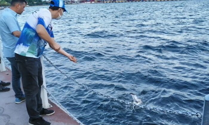 Balık tutmak için attığı oltasına takılanı görünce şaşırdı