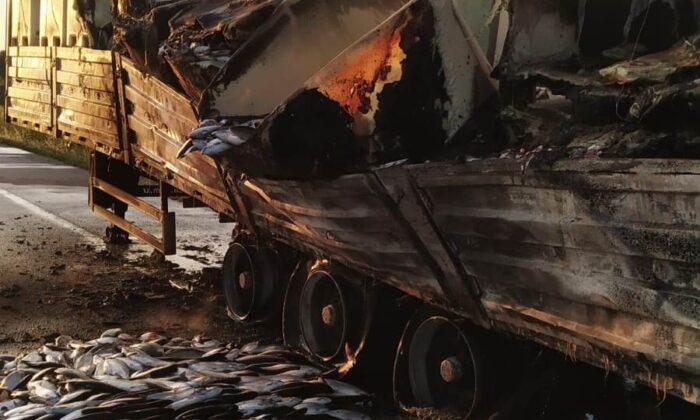 Balık yüklü tırda yangın