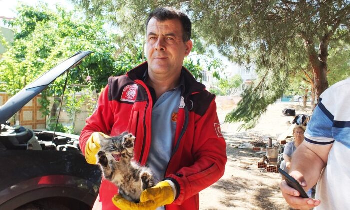 Balıkesir’de arabanın motoruna giren kedi yavrusunu itfaiye kurtardı