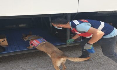 Balıkesir’de polis son bir haftada 81 uyuşturucu şüphelisini yakaladı
