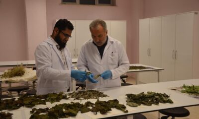 Bartın Üniversitesi’nin yer aldığı uluslararası proje başarıyla tamamlandı