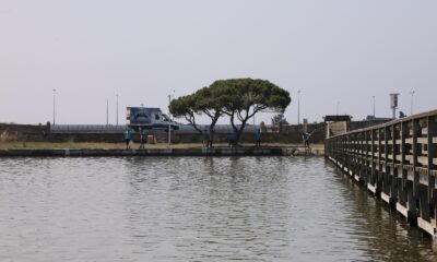 Başkan Akgün’den rengi değişen Büyükçekmece Gölü hakkında açıklama