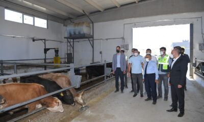 Başkan Büyükkılıç, 100 tesis müjdesi ile yatırım çağrısında bulundu