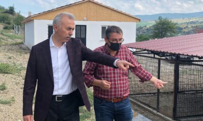 Başkan Öztürk’ten yeni hayvan barınağında inceleme