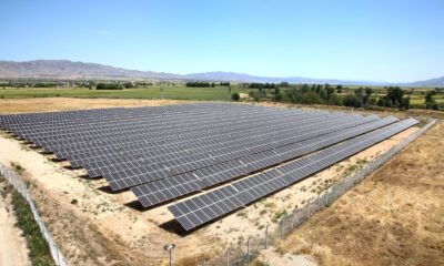 Başkan Şerifoğulları: ‘Doğaya yatırım yapmayı sürdürüyoruz’