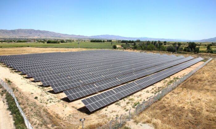 Başkan Şerifoğulları: ‘Doğaya yatırım yapmayı sürdürüyoruz’