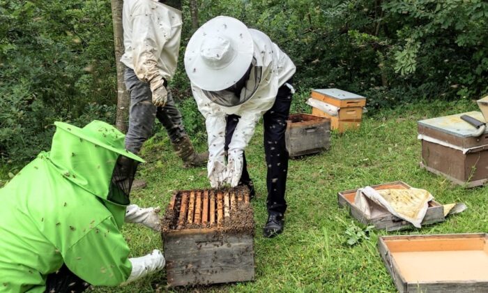 Başkan Yüce: “Sakarya arıcılıkta daha iyi noktalara ulaşacak”