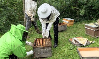 Başkan Yüce: “Sakarya arıcılıkta daha iyi noktalara ulaşacak”