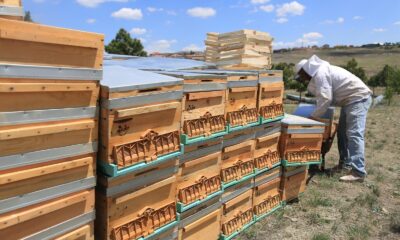 Başkent’teki Arıcılık Akademi’sinde eğitimler başlıyor