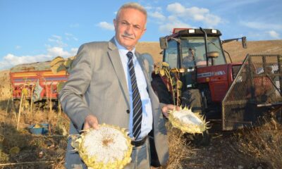 Başvuruyu kaçıranlar desteklemelerden yararlanamayacak