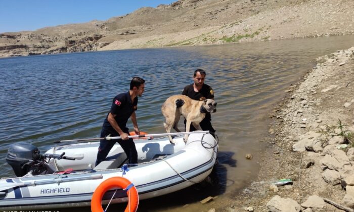 Batman Çayında uzun süre mahsur kalan köpek itfaiye ekiplerince kurtarıldı