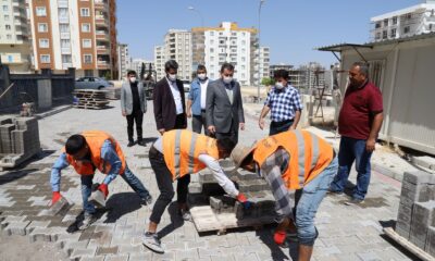 Baydilli çalışmaları yerinde inceledi