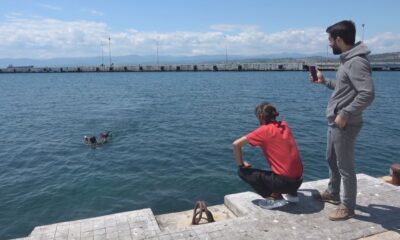 Belgeselcilerin drone’u martıların hışmına uğradı