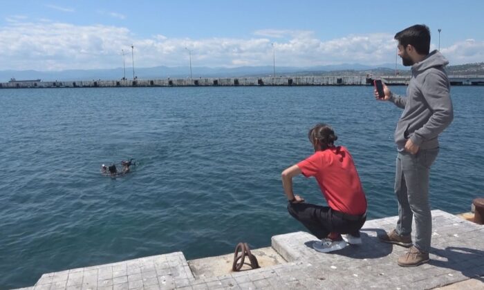 Belgeselcilerin drone’u martıların hışmına uğradı