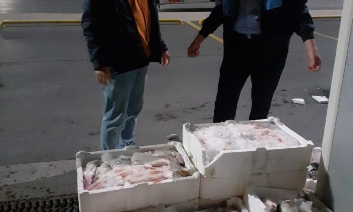 Beylikdüzü’nde yasak avlanma dönemi denetimi