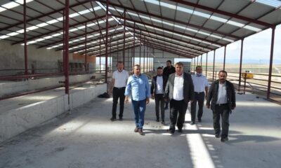 Beylikova’ya 200 baş hayvanlı işletme kurulacak