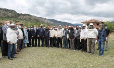 Bilinçli arıcılar Tosya’da yetişecek