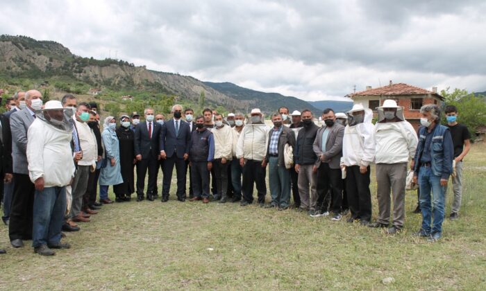 Bilinçli arıcılar Tosya’da yetişecek