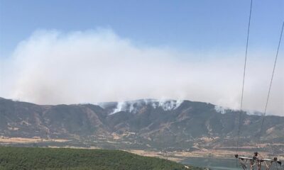 Bingöl Valiliği: “Yaklaşık 2 bin-2 bin 500 hektar alanın yangından etkilendiği değerlendirilmektedir”