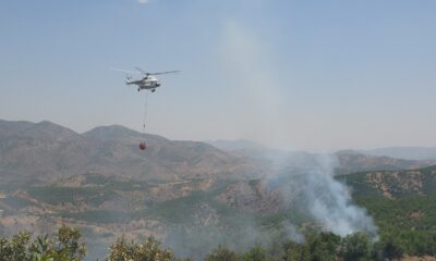 Bingöl Valiliği: “Yangın kontrol altına alındı”