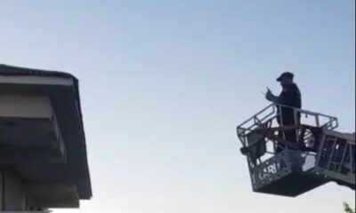 Bingöl’de çatıda ipe dolanan kırlangıcı itfaiye ekipleri kurtardı