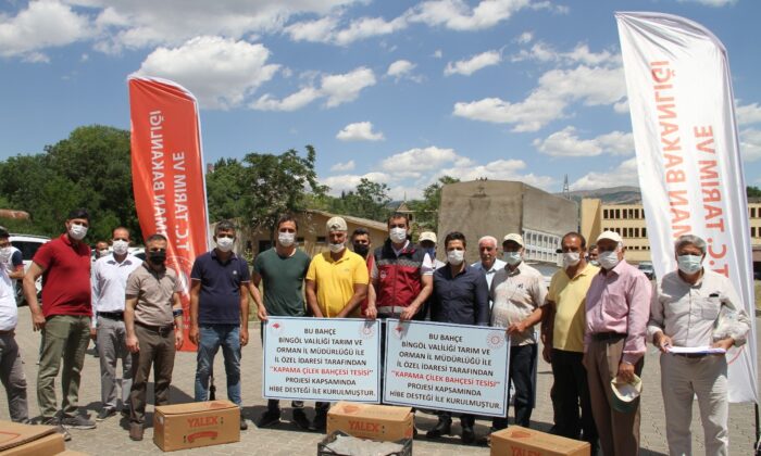 Bingöl’de çiftçilere hibeli çilek fidesi dağıtıldı