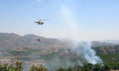Bingöl’de iki gündür süren orman yangınına havadan ve karadan müdahale ediliyor