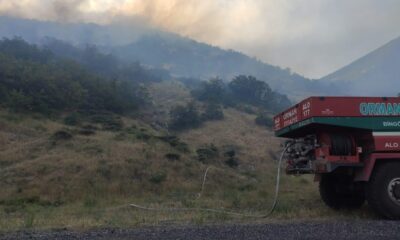 Bingöl’de iki köyde çıkan orman yangını büyümeden söndürüldü