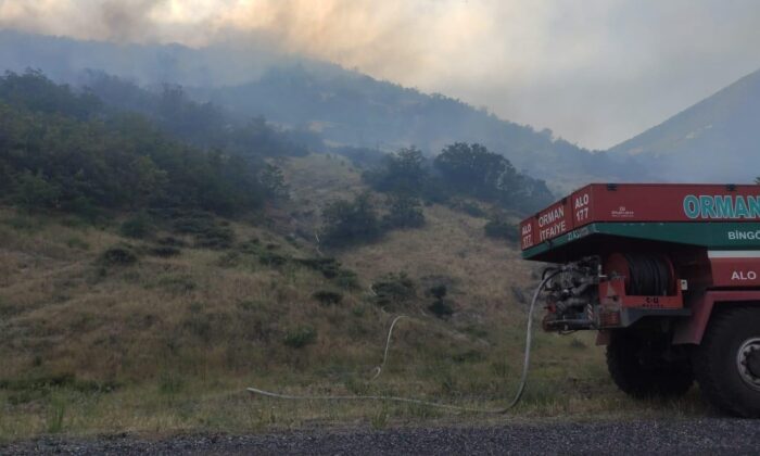 Bingöl’de iki köyde çıkan orman yangını büyümeden söndürüldü