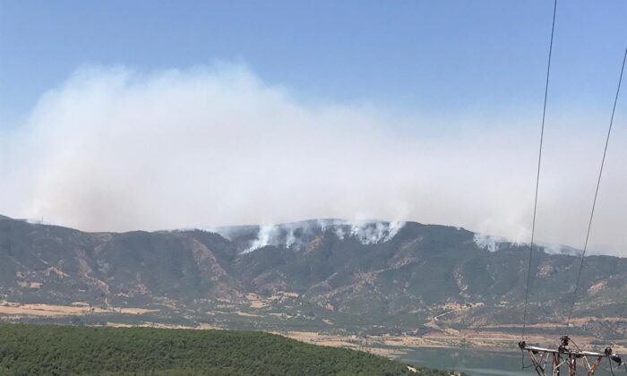 Bingöl’de iki noktadaki orman yangınına müdahale sürüyor