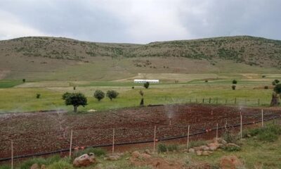 Bingöl’de kabul edilen 18 projeyle 530 dekar alan sulanacak