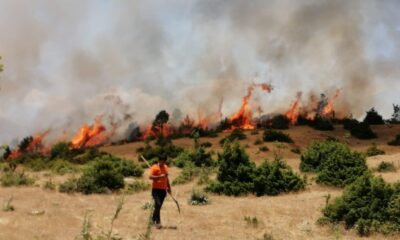 Bingöl’de  orman yangını büyümeden söndürüldü