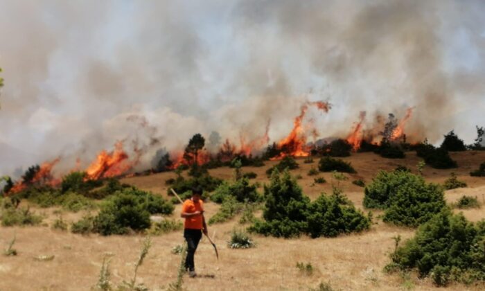 Bingöl’de  orman yangını büyümeden söndürüldü
