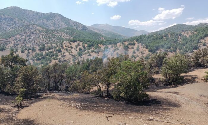 Bingöl’de orman yangını söndürüldü