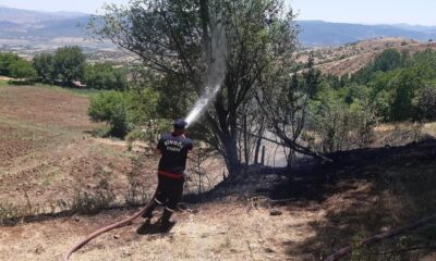 Bingöl’de örtü yangınları söndürüldü