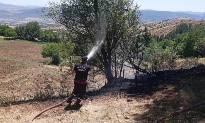 Bingöl’de örtü yangınları söndürüldü