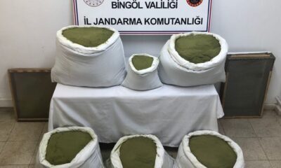 Bingöl’de uyuşturucuya darbe:  101 kilo toz esrar, 2 bin kök kenevir ele geçirildi