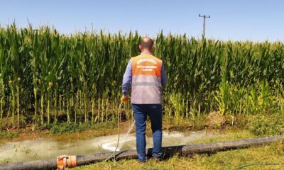 Bismil’de haşere ile mücadele çalışmaları devam ediyor