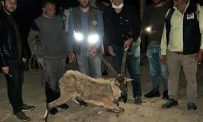 Bitkin halde bulup at sırtında taşıdılar