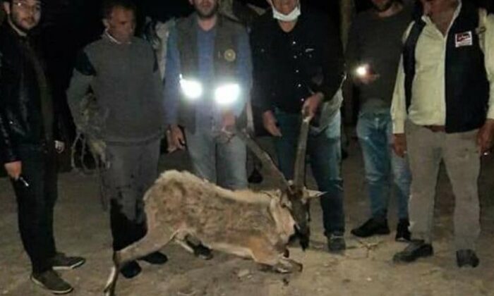 Bitkin halde bulup at sırtında taşıdılar