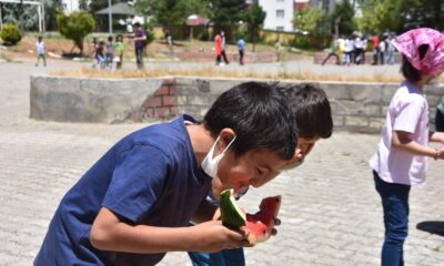 Bitlis’teki bütün okullarda telafi eğitimi verilmeye başlandı