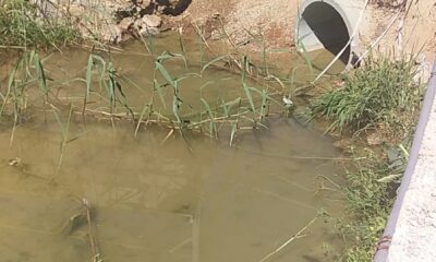 Bodrum’da kuruyan dereden akan su merak konusu oldu