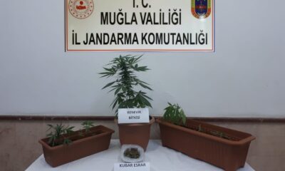 Bodrum’da uyuşturucu operasyonu: 1 gözaltı