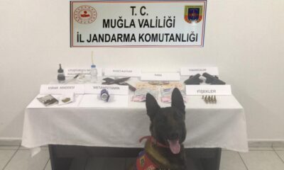 Bodrum’da uyuşturucu ve silah ele geçirildi