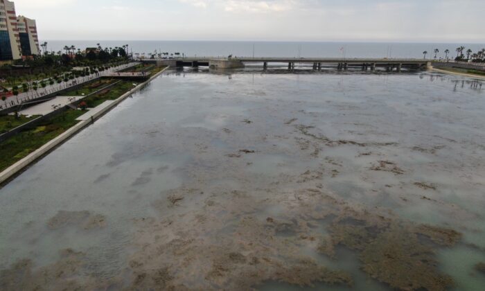 Boğaçayı’nda kirlilik açıklaması