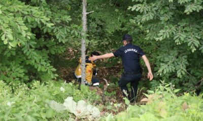 Bolu’da devrilen ağacın altında kalan işçi hayatını kaybetti