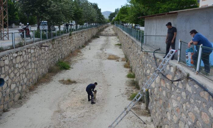 Boş sulama kanalına düşen köpek itfaiye tarafından kurtarıldı